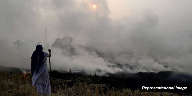 Stubble Burning On The Rise In Punjab And Haryana