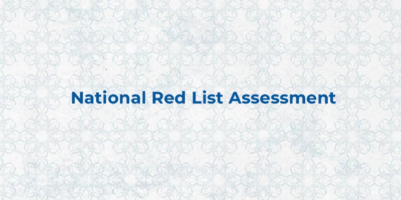 India launches National Red List Assessment to map species extinction ...