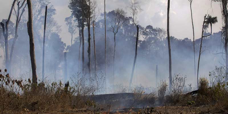 Biodiversity facing a plethora of threats | global warming | climate ...