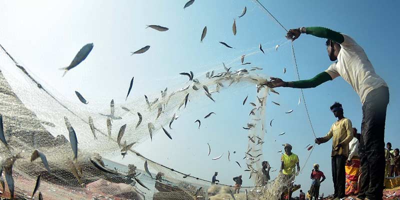 Fish Scheme Modi launches Matsya Sampada Yojana | fisheries | fishermen
