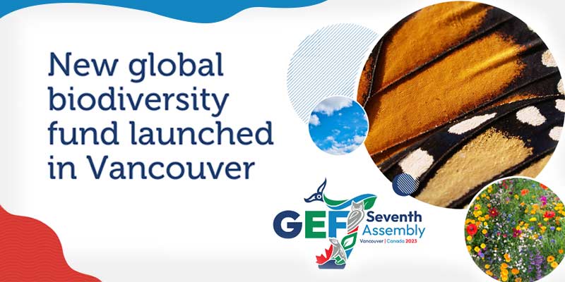 Gef Logo