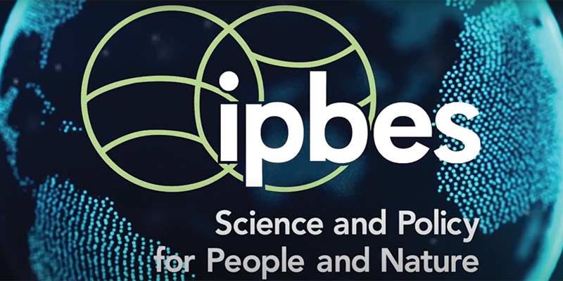 Ipbes Logo IPBES Values Assessment Decisions Based On Narrow Set Of