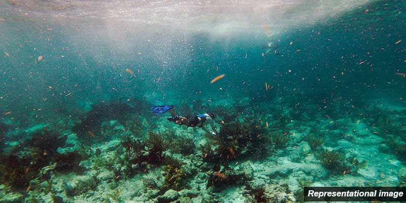 3rd UN Ocean Conference concludes in France