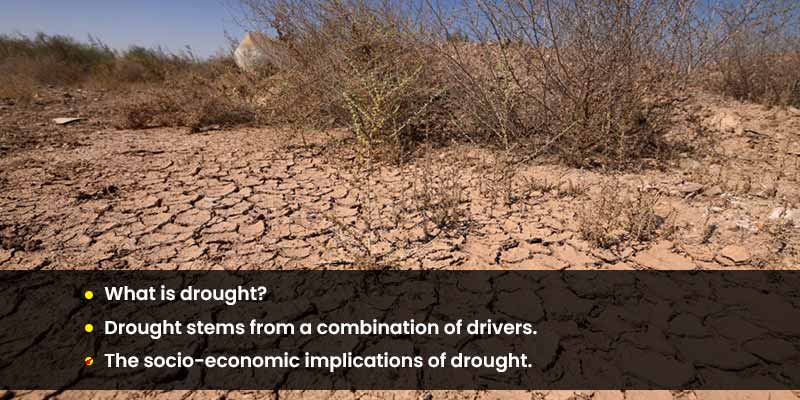 40% of the world’s land area faces frequent droughts | Manorama Yearbook