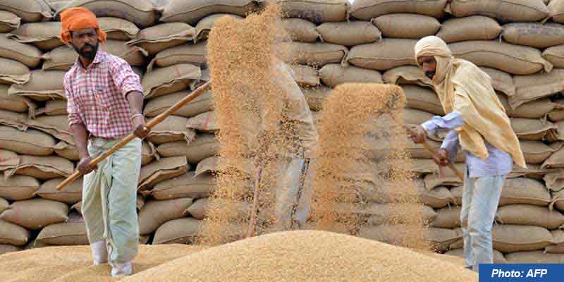 Foodgrain output hits record high at 357.73 million tonnes | Manorama ...